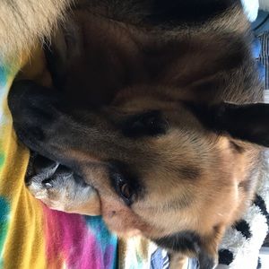 Meet your Posher, Mary beth